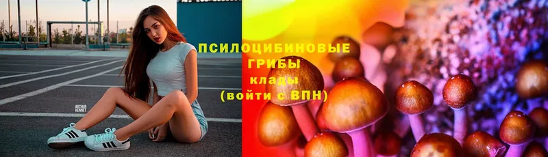 Псилоцибиновые грибы ЛСД  купить наркотики цена  Катав-Ивановск 